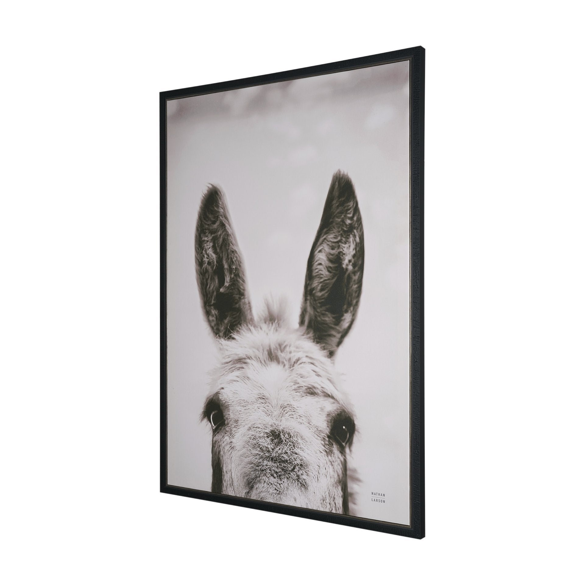 Downward Facing Donkey