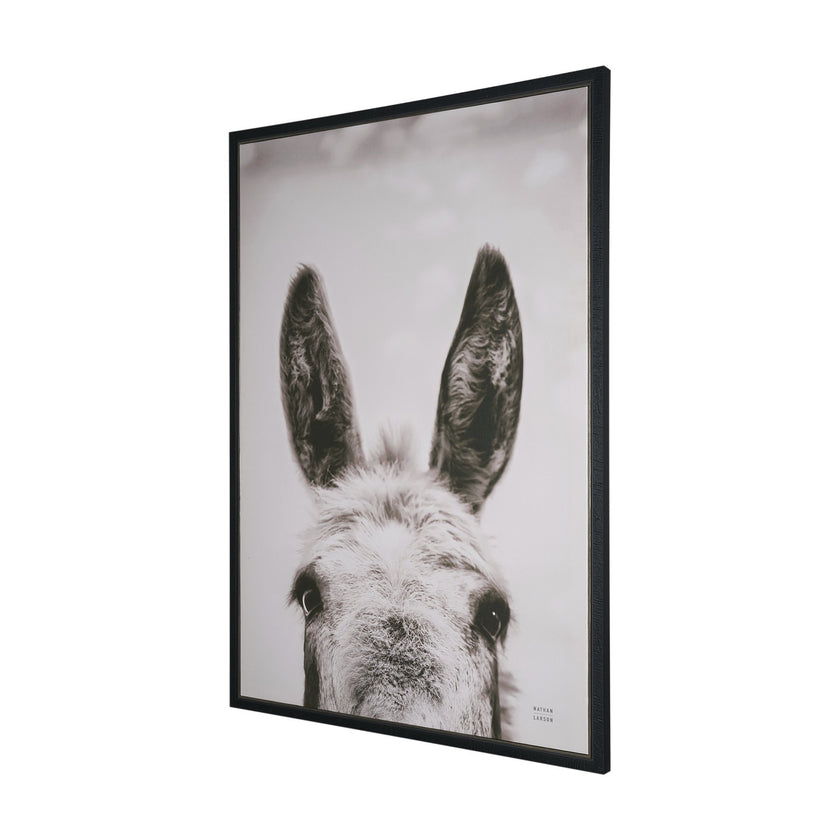 Downward Facing Donkey