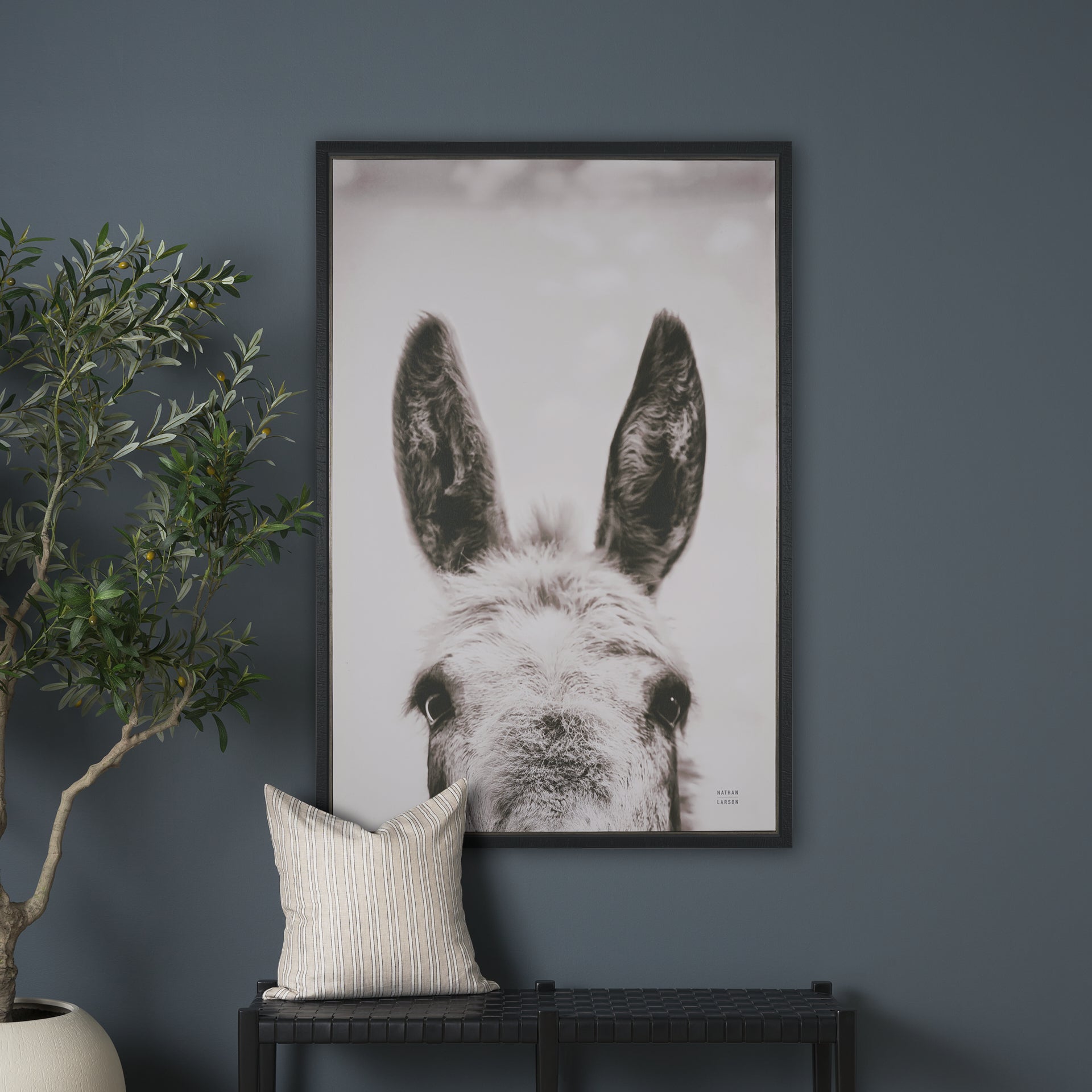 Downward Facing Donkey