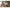 Hoyos Canopy Bed