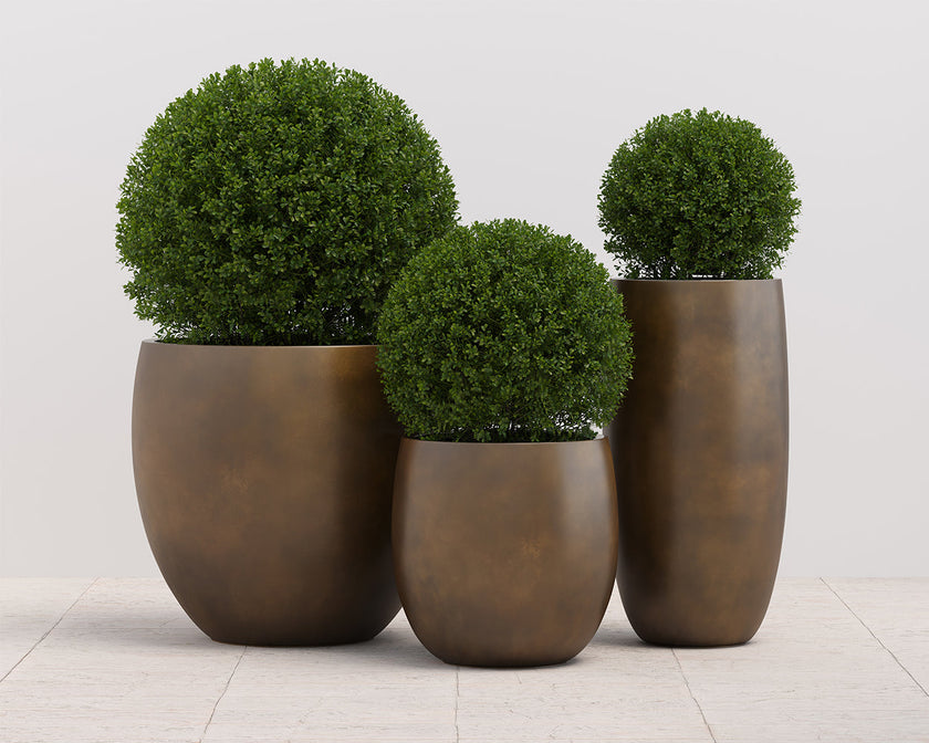 Aster Planter - Large