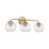 Dolan Vanity Light