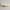 Oriya Vanity Light