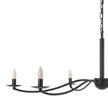 Landen Chandelier
