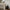 Aurelle Table Lamp