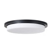 Dominic Flush Mount