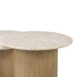 Toro Coffee Table