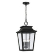 Chandler Hanging Lantern