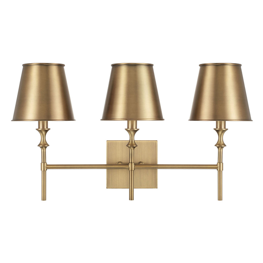 Whitney Vanity Light