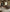 Amber Lewis HON-03 AL Beige / Spice