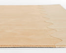 Form FRM-2 Rug